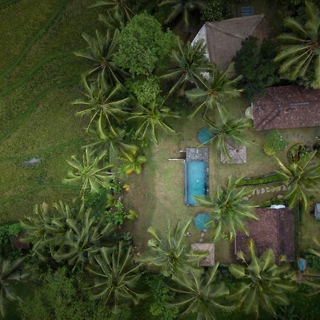 Green Sari Private Villa Убуд Екстериор снимка