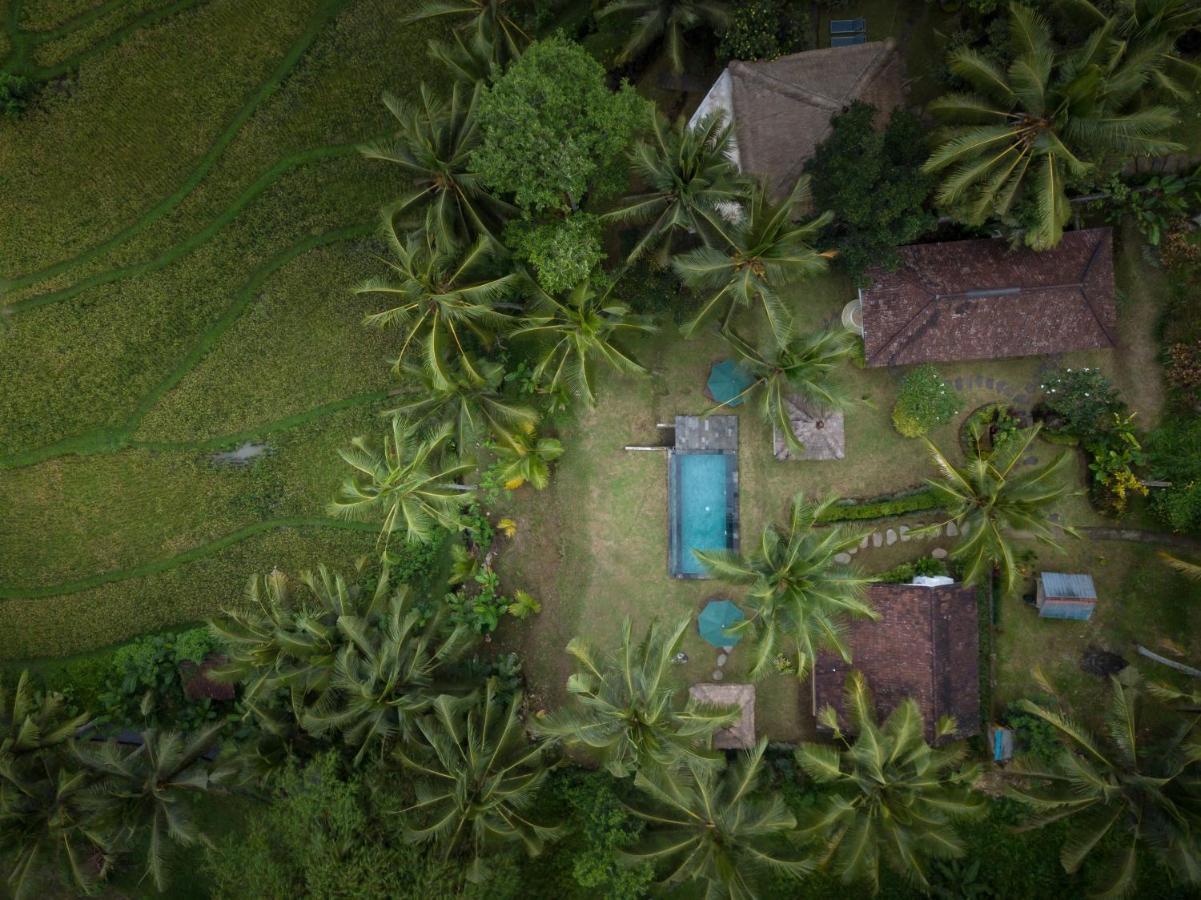 Green Sari Private Villa Убуд Екстериор снимка